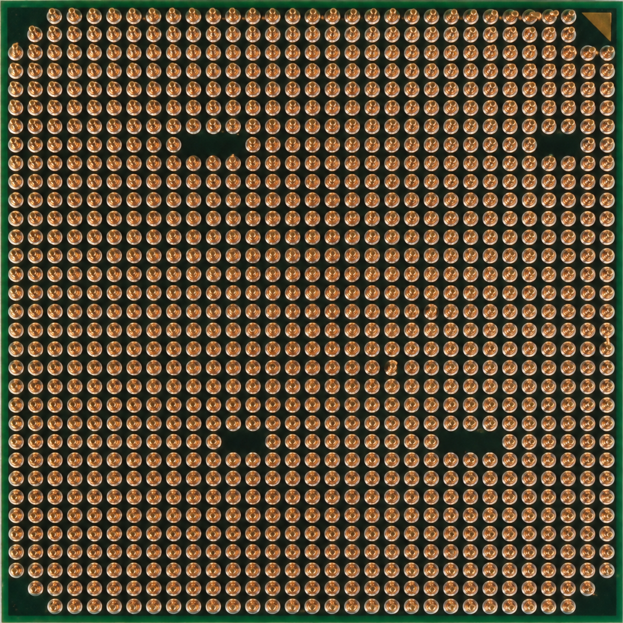 AMD Processor with Pins