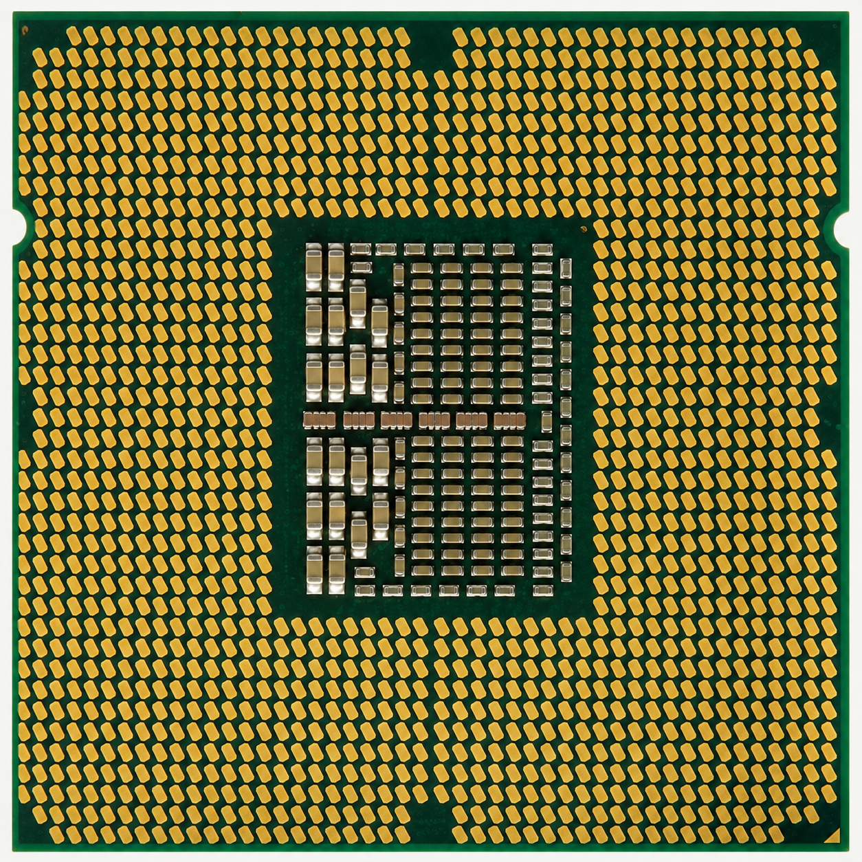 Server Processor without Pins